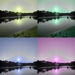 Meet your Posher, Leo